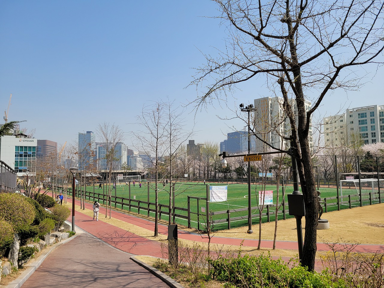 他们建立了