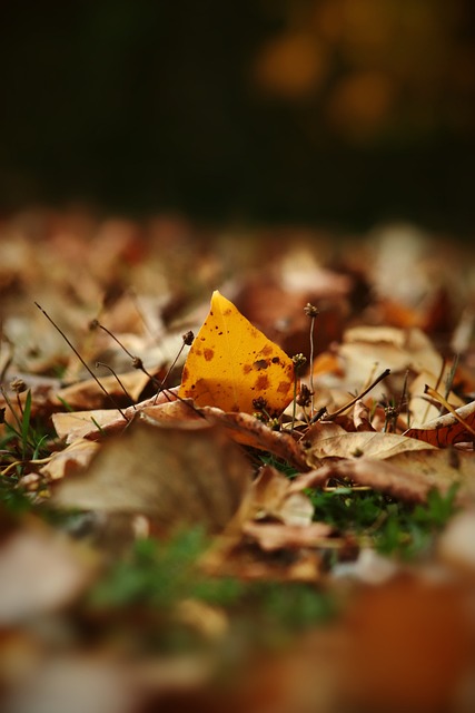 广大的观众 广大的观众