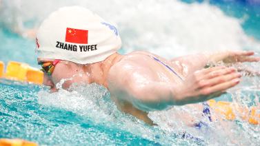 他们期待的 他们期待的