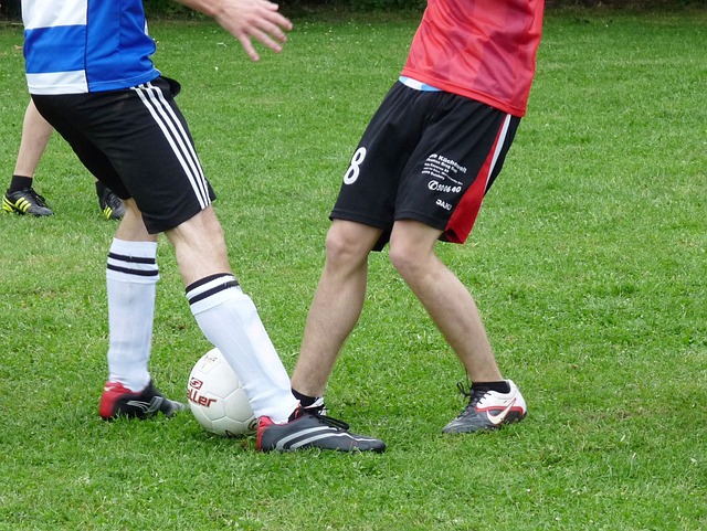 的结果无疑 的结果无疑