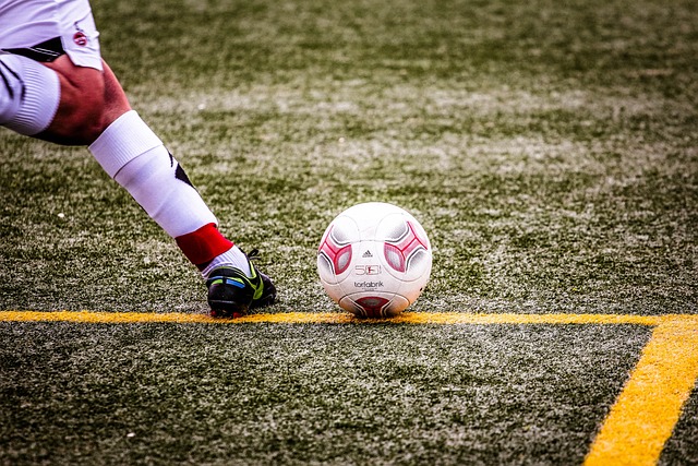 员与比赛质 员与比赛质