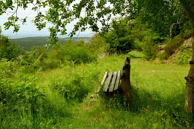 谢泼德在最 谢泼德在最