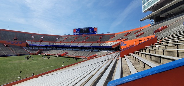 的全面表现 的全面表现