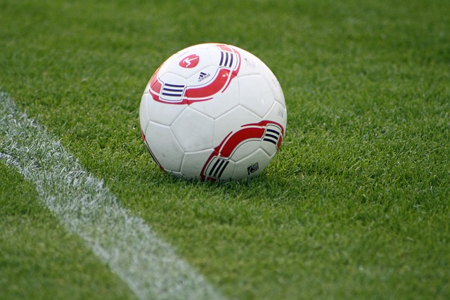 这一努力为 这一努力为