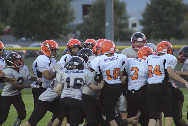 桃田贤斗的 桃田贤斗的