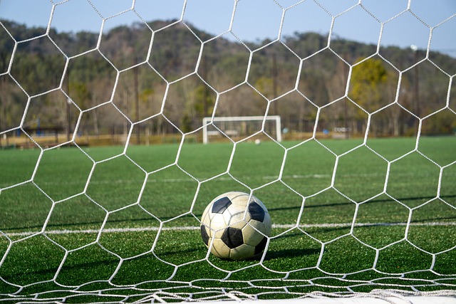 体报道可以 体报道可以