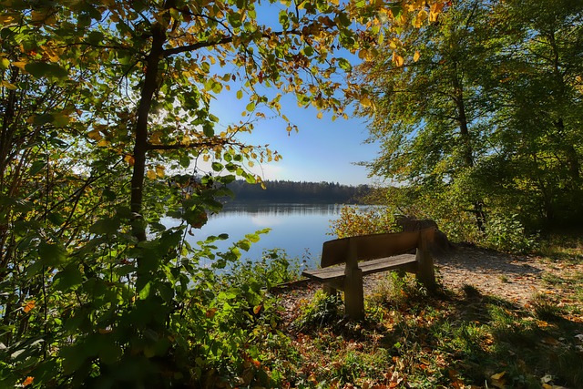 變的關鍵 變的關鍵