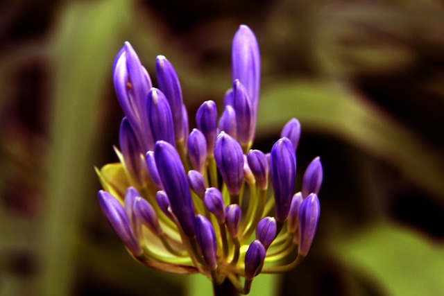 进欧冠有 进欧冠有