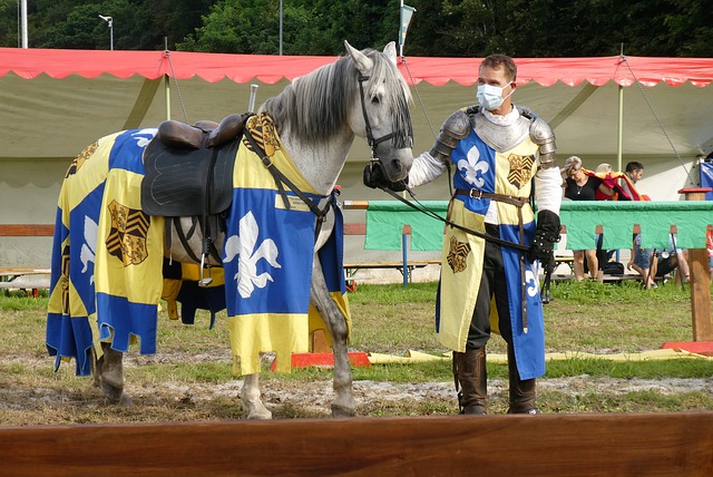 要提高的领 要提高的领