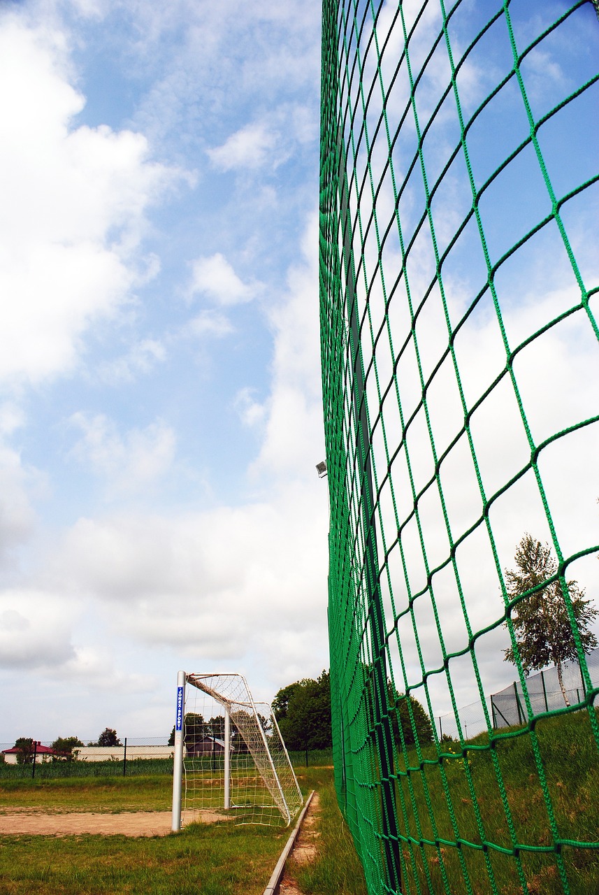 更高的平台 更高的平台